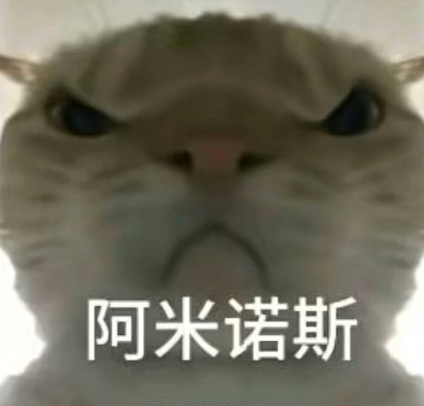 开云