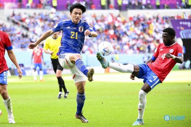 7篮板和8 7篮板和8